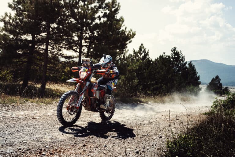 Rider on a gravel road between pine trees