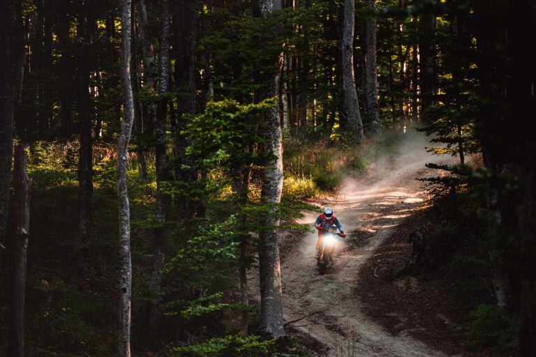 Rider on a dark forest trail kicking up dust