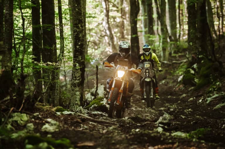 Rider on a forest trail among tall trees
